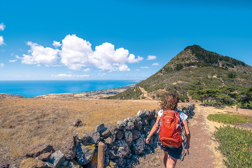 PT-PortoSanto-HikingPicoCasteloA-c-FranciscoCorreiaPhoto-e1565243507722 (1)